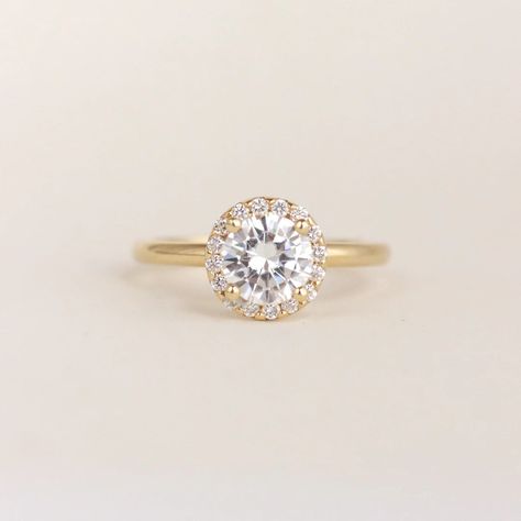 Round Halo Engagement Rings Gold, Engagement Rings Round Gold, Gold Band Diamond Ring, Gold Halo Engagement Ring, Rose Gold Halo Engagement Ring, Round Wedding Band, Rose Gold Halo, Round Halo Engagement Rings, Future Engagement Rings