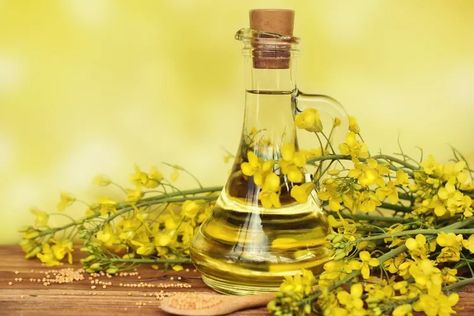 Canola Oil vs. Vegetable Oil: How to Choose the Right One Canola Plant, Entertaining Gifts, Unsaturated Fats, Types Of Vegetables, Cooking Oils, Pantry Staples, Canola Oil, Real Simple, Holiday Entertaining