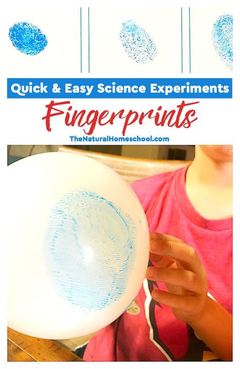 Elementary Science Experiments, Science Experience, Science Camp, Science Club, Scientific Experiment, Kid Experiments, Easy Science Experiments, Fun Summer Activities, Science Activities For Kids