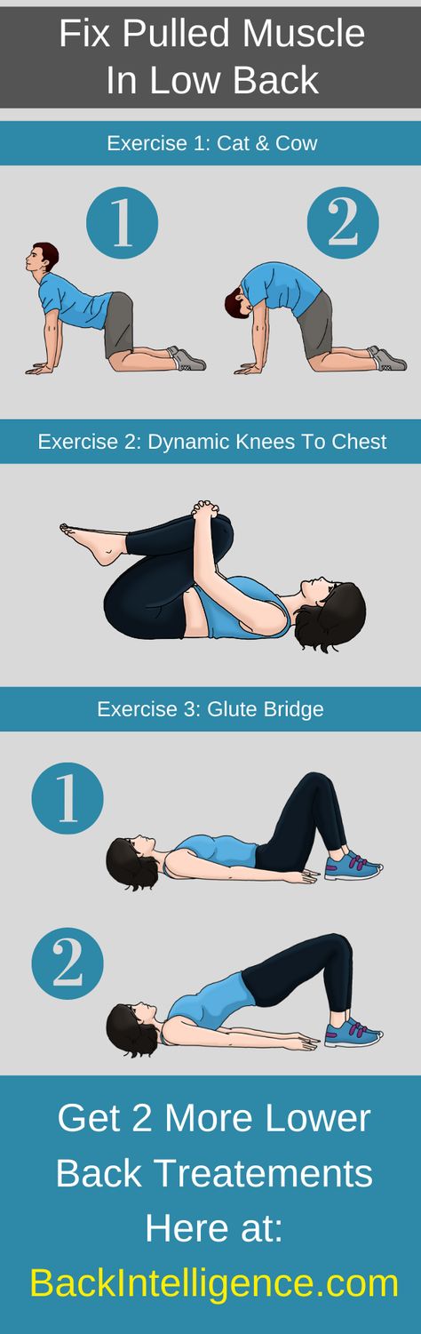 A pulled muscle in the lower back can make everyday activities, such as sleeping and working, extremely difficult. Luckily, most pulled muscles heal fairly quickly and there are a number of treatments that you can try to help speed up the healing process. While you can pull the upper back too, this article will focus on lower back pulled muscle. Click to continue reading on our website! Stretches For Pulled Back Muscle, Back Muscle Exercises, Low Back Exercises, Muscle Exercises, Back Muscle, Back Strain, Lower Back Muscles, Upper Back Pain, The Healing Process