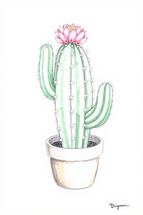 Check Out This Cactus Drawing & 12+ Other Plant Drawing Ideas! #drawing #drawingideas Plant Drawing Ideas, Cactus Sketch, Hibiscus Flower Drawing, Orchid Drawing, Branch Drawing, Tulip Drawing, Baby Cactus, Plant Sketches, Wave Drawing