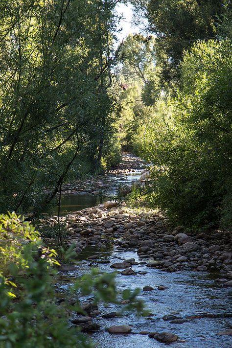 Babbling Brook Water Feature, Counting Blessings, Babbling Brook, Ideal Aesthetic, Refreshing Water, Ski Town, Mountain Stream, Mountain Living, Surface Water