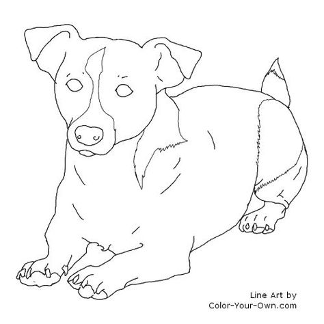 Jack Russel Terrier Laying Down Line Art How To Draw Jack Russell Terrier, Jack Russell Line Art, Dog Laying Down Drawing, Chien Jack Russel, Dog Face Drawing, Jack Russells, Dog Outline, Dog Breeds Pictures, Jack Russel