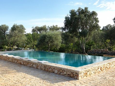 Raised Pools, Kleiner Pool Design, Stone Pool, Pool Landscape Design, Small Pool Design, Natural Swimming Pools, Luxury Pools, Small Pools, Dream Pools