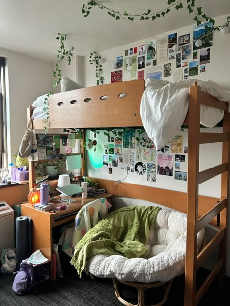 college dorm room ideas cozy  simple college dorm room ideas cozy  green college dorm room ideas cozy  dark grey college dorm room ideas cozy college dorm room decor ideas cozy ideas for creating a cozy reading nook in a college dorm room freshman college dorm room ideas cozy Bookish Dorm Room, Nature Dorm Room, Dorm Set Up Layout, Green College Dorm, Artsy Dorm Room, Decorating Dorm, Luxury Dorm, Room Ideas Dorm, Cute Dorm Room Ideas