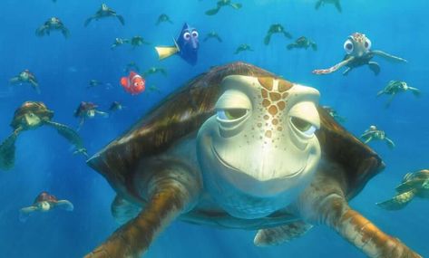 Move Over, Crush! Real-Life 'EAC' With Over 60,000 Turtles Crush Finding Nemo, Pictures Of Turtles, Dory And Marlin, Nemo Movie, Finding Nemo Characters, World Turtle Day, Disney Finding Nemo, Disney Nursery, Disney Pixar Movies