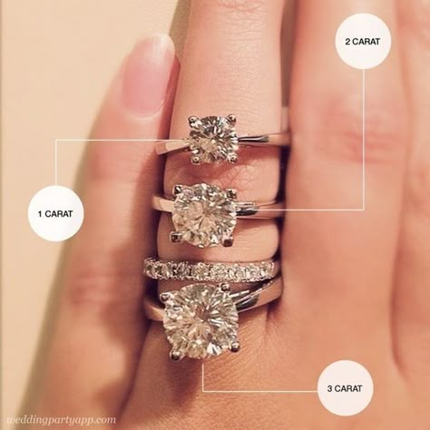 wedding engagement ring gem size guide Carat Comparison, Bohol, Ideal Wedding, Wedding Advice, Wedding Wishes, Perfect Engagement Ring, Put A Ring On It, Dream Ring, My Prince