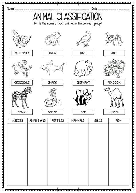 Animal Needs First Grade, Different Types Of Animals Worksheet, Animal Classification Worksheet Free Printable, Types Of Animals Kindergarten, All About Animals Activities, Growth And Changes In Animals Grade 2, Classification Of Animals Worksheet, Land Animals Worksheet, Classifying Animals Worksheet