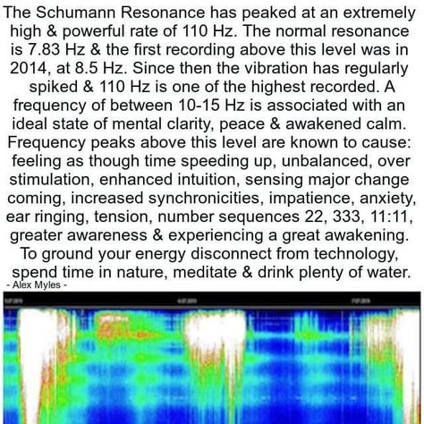 Schumann Resonance, Fall In Line, Magick Symbols, Electromagnetic Field, Ted Talk, Everything Is Connected, Healing Frequencies, Psychology Quotes, Spiritual Wisdom