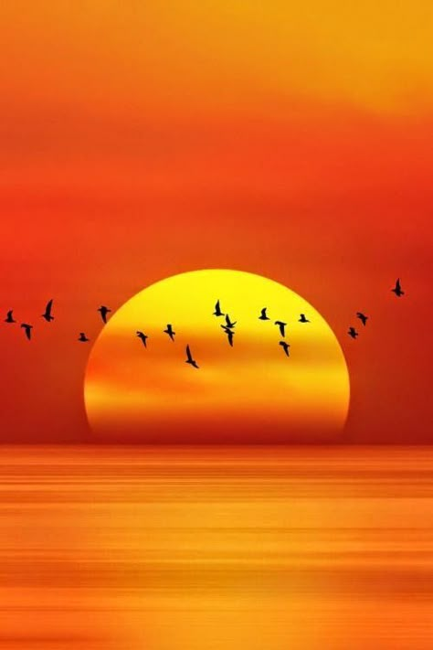 Upotettu kuva Colourful Photography, Futurisme Retro, Sun Setting, मोबाइल वॉलपेपर, Amazing Sunsets, Beautiful Sunrise, Sunset Beach, Birds Flying, Beautiful Sky