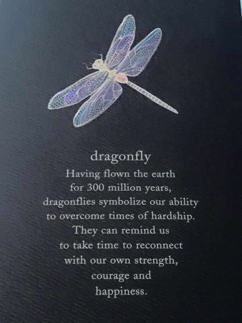 Dragonfly Meaning Spiritual, Dragonfly Meaning, Dragonfly Symbolism, Dragonfly Quotes, Dragonfly Wallpaper, Pocket Hugs, Dragonfly Tattoo Design, Inspirational Quotes Background, Damselflies