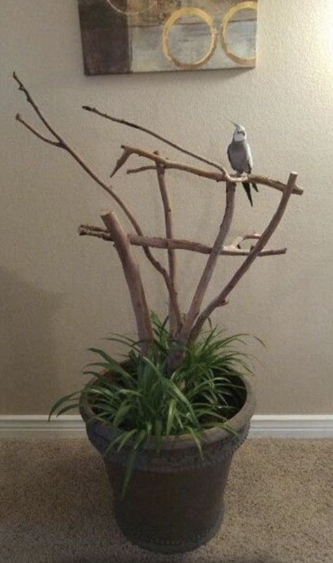 have one of these in my bedroom, the living room in the main house, and in the lounge in the lounge house and one in the bathroom. Diy Perches For Birds, Parrot Stand Ideas, Diy Cockatiel Play Gym, Diy Bird Perch Stand, Diy Bird Stand, Bird Perch Diy, Diy Bird Toys Conure, Bird Perch Ideas, Bird Stands Diy Ideas