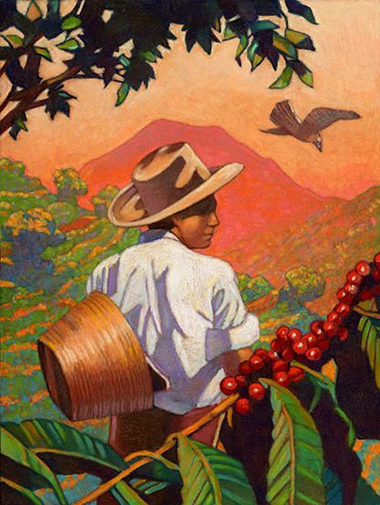 Miles Hyman | Advertising for Green Mountain Coffee Mural Cafe, Green Mountain Coffee, Coffee Artwork, Colombian Art, Puerto Rico Art, Mountain Coffee, Coffee Farm, Coffee Illustration, Coffee Club