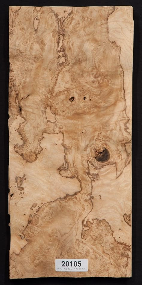 Wood Veneer Texture, Olive Wood Texture, Burl Wood Wallpaper, Raw Wood Texture, Venner Texture, Veneer Seamless Texture, Walnut Veneer Texture, Burl Wood Veneer, Wood Samples