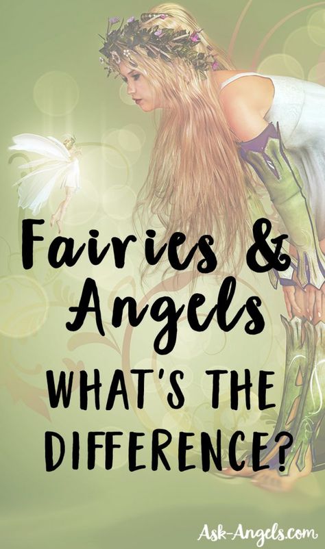 Are Fairies Real? What's the Difference Between Fairies and Angels? Fairy Meaning, Witch Studying, Spirit Guide Signs, Studying Ideas, Each One Teach One, Fairy Realm, Inspirational Writing, Real Fairies, Fae Folk