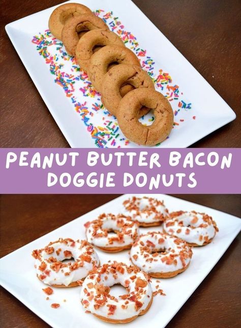 Dog Bagels Treats, Dog Donut Treat Recipe, Diy Gourmet Dog Treats, Gourmet Dog Treats Packaging, Homemade Dog Donut Treats, Dog Donuts Homemade, Organic Dog Treat Recipes, Dog Deserts, Fancy Dog Treats