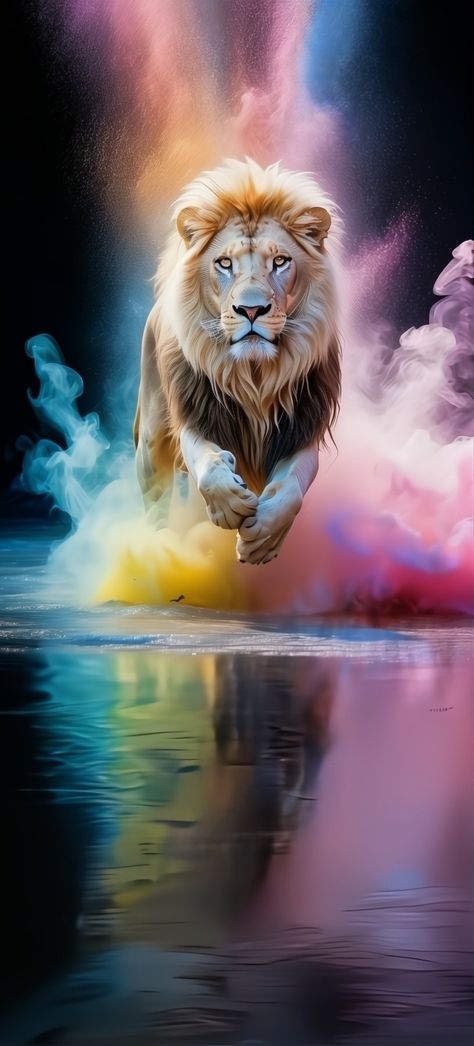 Pictures Of Pets, Animals In The Wild, Lion Of Judah Jesus, Wild Animal Wallpaper, Lion Artwork, Dream Catcher Art, Lions Photos, Lion Wallpaper, Phone Background Patterns