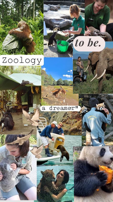 Dream job #zoologist #zoology #animals #visionboard #visions Animal Career Aesthetic, Wildlife Zoologist Aesthetic, Marine Zoologist Aesthetic, Zoologist Aesthetic Wallpaper, Animal Jobs Career, Environment Science Aesthetic, Vet School Outfits, Animal Behaviorist Aesthetic, Studying Zoology Aesthetic