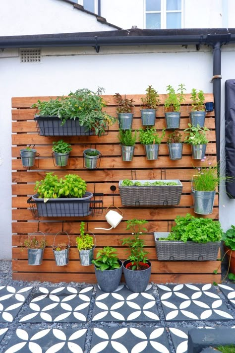 Diy Indoor Herb Garden, Herb Garden Wall, Garden Design Inspiration, Outdoor Herb Garden, Hanging Herb Garden, Herb Wall, Diy Herb Garden, Vertical Garden Wall, Vertical Herb Garden