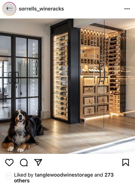 Winery Closet, Home Wine Cellars Modern, Home Wine Cellar Ideas, Wine Cave Design, Wine Room Ideas In House, Small Wine Cellar Ideas, Modern Wine Room, Small Wine Cellar, Luxury Wine Cellar