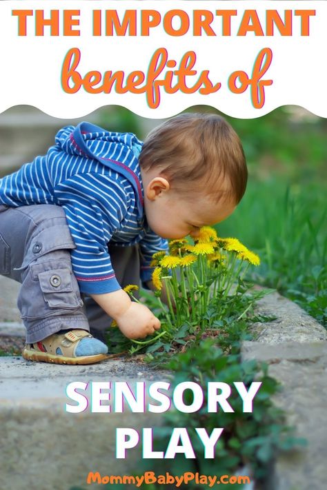 Sensory Bin Benefits, Benefits Of Sensory Bins, Sensory Play Benefits, Sensory Play Quotes, Benefits Of Sensory Play, Sensory Processing Disorder Activities, Mindful Activities, Sensory Play Toddlers, Toddler Sensory Bins