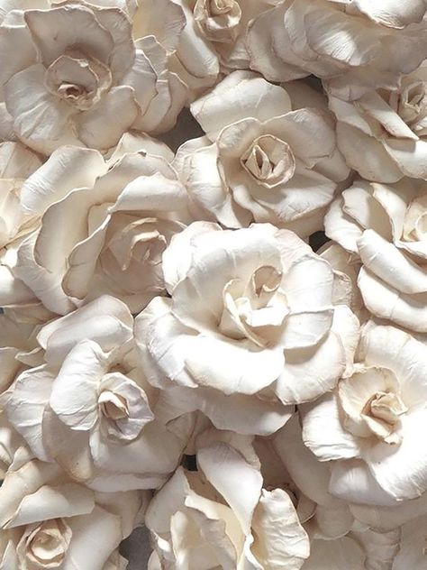 Paper Rose Tutorial, Diy Flores, Rose Tutorial, Ivory Roses, Paper Rose, Paper Flower Tutorial, Paper Flowers Diy, Wood Work, Paper Roses