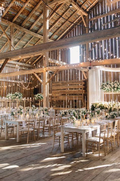 Country Western Wedding, Barn Wedding Inspiration, Fall Barn Wedding, Western Themed Wedding, Lights Photography, Rustic Style Wedding, Barn Wedding Reception, Dream Wedding Decorations, Barn Wedding Decorations