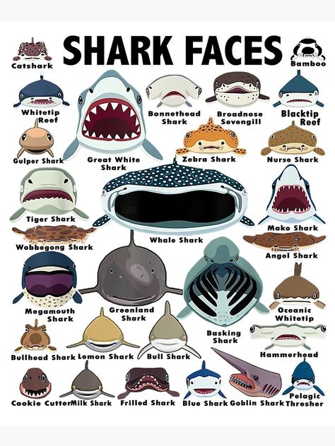 "Types Of Shark Identification - Shark Faces - Shark Heart" Mounted Print by DarrinLindstrom | Redbubble Shark Heart, Sharks, Different Types