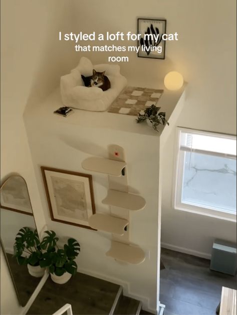 Cute Cat Interior Ideas, Cat Place Ideas, Tiny Cat Room, Room Inspo Living Room, Tiny Home Cat Ideas, Bedroom With Cat Ideas, Cat Organization Ideas Small Spaces, Cute Cat Corner Ideas, Cat In Small Apartment Ideas