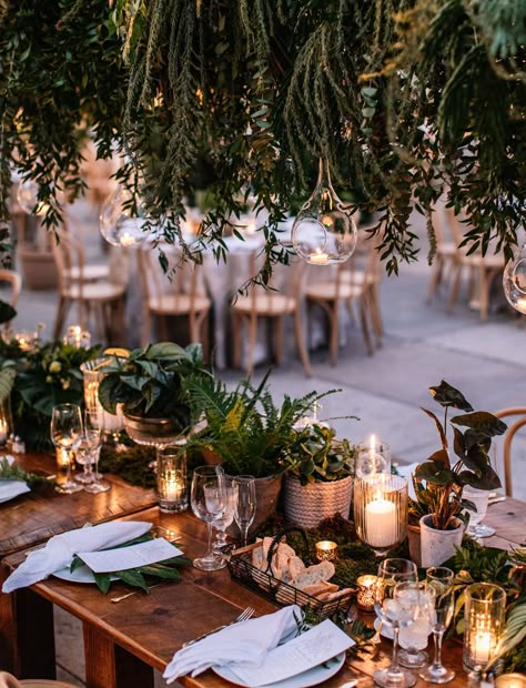 A Botanical Wedding in Philadelphia with Lush Plants + Magical Lighting - Green Wedding Shoes Botanical Wedding Decor, Plant Wedding, Wedding Plants, Lush Plants, Greenery Bouquet, Greenhouse Wedding, Magical Wedding, Botanical Wedding, Wedding Aesthetic