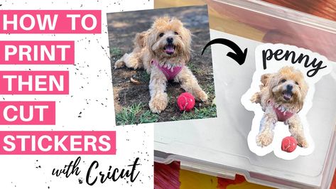 Print Then Cut Stickers, Stickers With Cricut, Custom Hard Hats, Custom Wall Stickers, How To Make Photo, Printable Sticker Paper, Cricut Print And Cut, Pet Stickers, How To Make Stickers