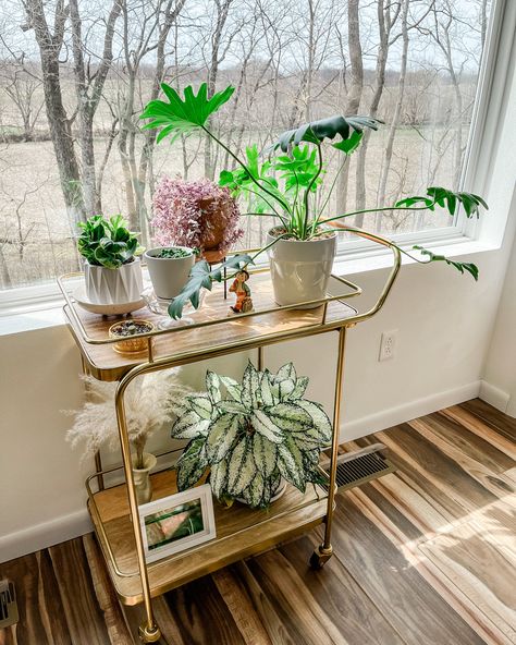 Office Bar Cart Ideas, Plant Stand Dining Room, Bar Cart For Plants, Bar Cart Plants, Bar Cart With Plants, Bar Cart Plant Stand, Plant Bar Cart, Bar Stool Plant Stand, Repurposed Bar Cart