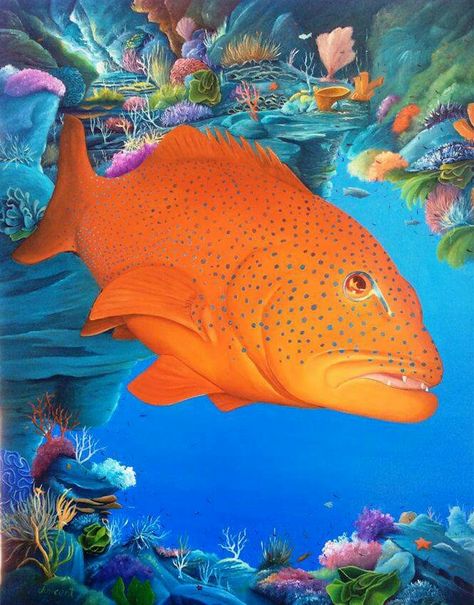 Jim Evans - Coral Trout Katie Trout Photography, Coral Trout, Golden Trout, Jellyfish Pictures, Rainbow Trout Jumping Out Of Water, Trout Fish, Trout Jumping Out Of Water, Fauna Marina, Phish