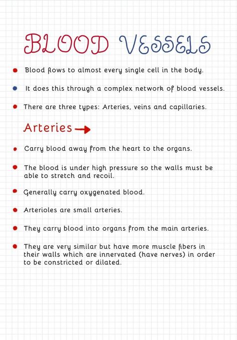 Gcse Revision Help, Gcse Science Notes, Biology Notes Igcse, Heart Biology Notes, Gcse Study Notes, Gcse Biology Notes, Heart Revision, Gcse Science Revision Biology, How To Revise Science