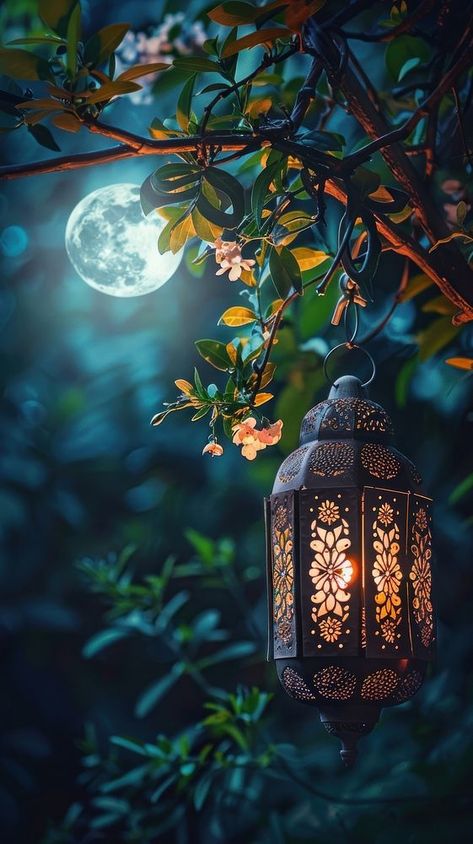 Hanging Glowing Ramadan celebration lantern lighting nature night. | free image by rawpixel.com / Darakoon Jaktreemongkol Light Night Wallpaper, Pics To Hang On Wall, Beautiful Nature Night, Islamic Background Images, Ramadan Background Design, Islamic Nature, Islamic Pfp, Glowing Wallpaper, Good Night Pic