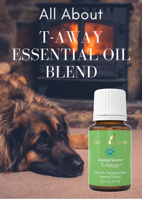 T-Away essential oil blend is an oil from Young Living's Animal Scents line. Learn more about T-Away and how to use it. #Taway #EssentialOil #essentialoiluses #essentialoilbenefits | EOGuys.com Young Living Pets, Edible Essential Oils, Crunchy Life, Young Living Business, Essential Oils Dogs, Young Living Diffuser, Eo Blends, Essential Oils Young Living, Essential Oil Remedy