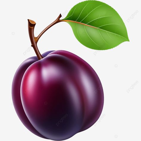 ripe purple plum fruits with green leaves illustration element fruit png Plum Illustration, Green Leaves Illustration, Png Fruit, Fruit Png, Purple Fruit, Plum Fruit, Leaves Illustration, Fruit Photography, Purple Plum