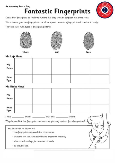 Finger Print Activity For Kids, Finger Print Activity, Spy Camp, Junior Detective, Science Lessons Elementary, States Of Matter Worksheet, Elementary Stem Activities, Body Science, Easy Kid Activities