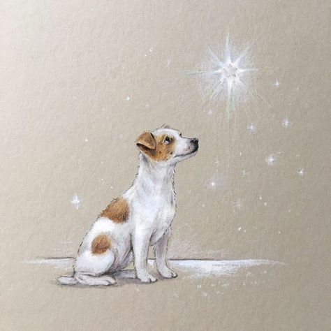 Christmas Image, Dog Sketch, 강아지 그림, Jack Russell Terriers, Jack Russells, Jack Russel, Dessin Adorable, Arte Animal, Portraits From Photos