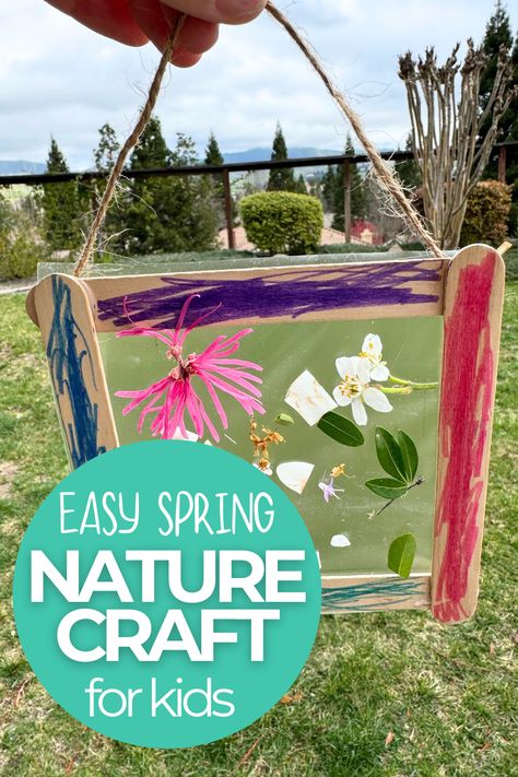 What's an easy spring craft for preschoolers? Kids will love making these simple nature suncatchers! Not only are they fun and colorful, but this is a great activity to help kids build their fine motor skills. Spring Nature Crafts Preschool, Springtime Crafts For Kids, Nature Suncatcher, Spring Preschool Activities, Hungry Caterpillar Activities, Spring Crafts Preschool, Spring Flower Crafts, Craft For Preschoolers, Storytime Crafts