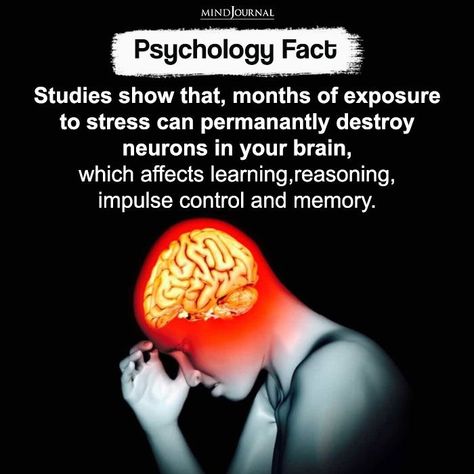 Physiological Facts, Psychology Notes, Psychological Facts Interesting, Understanding Emotions, Impulse Control, Brain Facts, Psychology Says, Mental Health Facts, Psychology Fun Facts