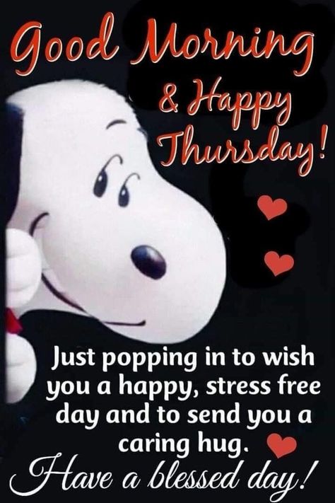 Thursday Morning Quotes, Happy Thursday Morning, Happy Thursday Images, Good Morning Snoopy, Good Morning Happy Thursday, Happy Thursday Quotes, Happy Day Quotes, Good Morning Thursday, Thursday Quotes