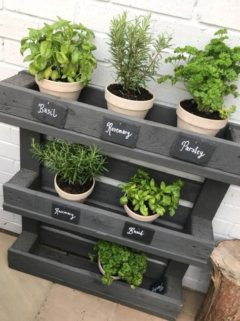 Balcony Herb Gardens, Patio Herb Garden, Herb Garden Ideas, Herb Garden Pallet, Herb Garden Pots, Small Herb Gardens, Outdoor Herb Garden, Diy Herb Garden, Gardening Vegetables