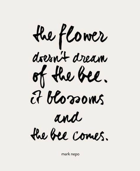 The flower doesn't dream of the bee. It blossoms and the bee comes. Quotes About Bees, Bee Quotes, The Bee, Quotes About Strength, Honey Bee, Happy Quotes, Thoughts Quotes, Beautiful Words, Favorite Quotes