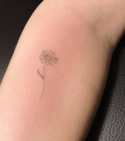 Margarita flower on the inner forearm, for her Tattoo For A Grandmother, Grandmother Tattoo Ideas, Grandmother Tattoo, Small Daisy Tattoo, Daisy Tattoos, Margarita Flower, Daisy Tattoo Designs, Tiny Flower Tattoos, Daisy Flower Tattoos