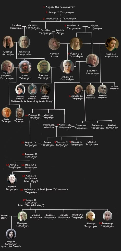 The Targaryen family tree - House of the Dragon and Game of Thrones cast explained, from Aegon to Jon Snow Targeryan Family Tree, Jon Snow Family Tree, Targaryen Tree, Daenerys And Jon Snow, House Of The Dragon Wallpaper, House Of The Dragon Cast, Jon Snow Aesthetic, Aegon The Conqueror, Game Of Thrones Iron Throne