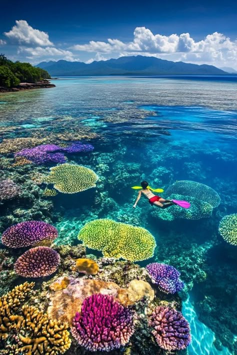 "🐠🌊 Dive into adventure with snorkeling in the Great Barrier Reef! Discover vibrant marine life, colorful coral, and underwater wonders. Swipe through our images for a peek into this amazing underwater world! 🌟🏝️ #GreatBarrierReef #SnorkelingAdventure #AustraliaTravel" Great Barrier Reef Diving, Great Barrier Reef Snorkeling, Coral Reef Photography, Great Barrier Reef Australia, Barrier Reef Australia, Under The Ocean, Best Vacation Spots, Vacation Goals, The Great Barrier Reef