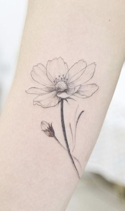 Summer Flowers Tattoo, Anemone Flower Tattoo, Michelle Tattoo, Ranunculus Tattoo, Anemone Tattoo, Lily Magnolia, Cosmos Tattoo, Flor Tattoo, Mum Tattoo