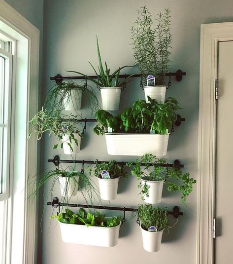 Herb In Kitchen Ideas, Leaf Kitchen Decor, Ikea Wall Garden, Kitchen Growing Herbs, Kitchen Herb Wall Planters, Ikea Herb Garden Wall Planters, Kitchen Planters Indoor Herbs, Vertical Herb Garden Wall Indoor, Vertical Herb Wall