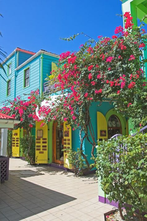 Cruz Bay, St. John St John Usvi, Colorful Buildings, Us Virgin Islands, Bougainvillea, Virgin Islands, Caribbean Islands, Luxury Vacation, Pretty Places, Places Around The World